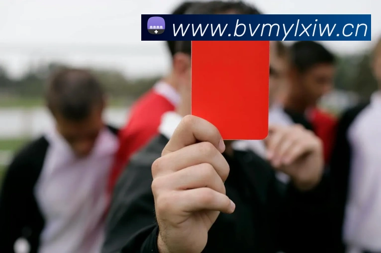 星空手机在线登陆入口平台生态图